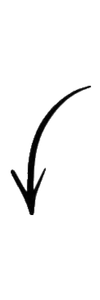 100x300 png elements /11.png 100x300 png elements /11.png